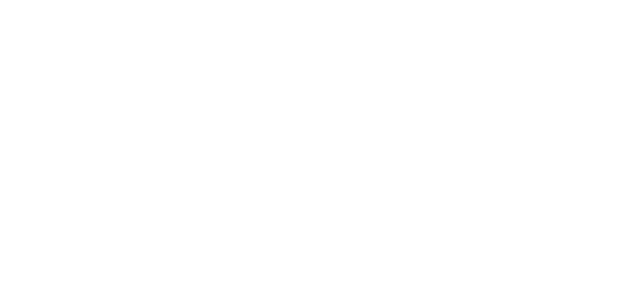 Mane Beauty Lounge Logo